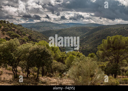 Trekking entlang Rio Alberche, Spanien Stockfoto