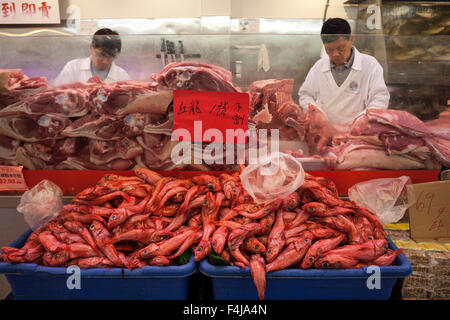 Metzgerei-Shop, roter Fisch vor, Chinatown, San Francisco, Kalifornien, USA Stockfoto