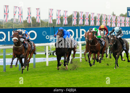 17.10.2015 - Ascot; Faszinierende Rock geritten von Pat Smullen gewinnt der Qipco Champion Stakes (britischer Meister Mitteldistanz) (Gruppe 1). Zweiter Platz: gefunden von Ryan Moore (blau-Orange Seide) geritten. Dritter Platz: Jack Hobbs von William Buick (blaue Seide) geritten. Bildnachweis: Lajos-Eric Balogh/turfstock.com Stockfoto