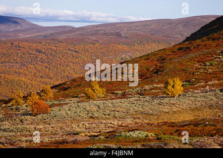 Berglandschaft im Herbst Stockfoto