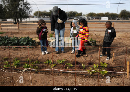 Grundschüler lernen über Gartenarbeit in Tucson Bauernhof, Tucson, Arizona, USA. Stockfoto