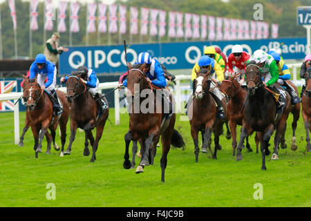 17.10.2015 - Ascot; Muhaarar von Paul Hanagan geritten gewinnt den Qipco britische Champions Sprint Stakes (Gruppe 1). Bildnachweis: Lajos-Eric Balogh/turfstock.com Stockfoto