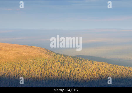 Farbe Bild Dalarna Wald Wald Landschaft horizontalen Landschaft Natur Skandinavien Schweden anzeigen Stockfoto
