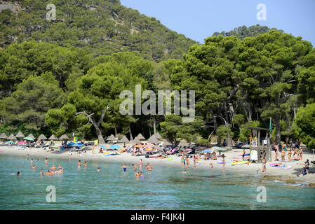 Strand von Formentor, Mallorca oder Mallorca, Spanien Stockfoto