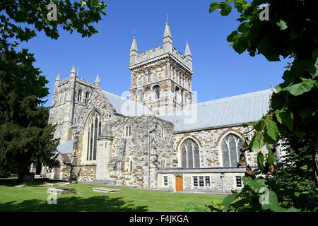 Wimborne Minster Kirche, Wimborne, Dorset, England, UK Stockfoto