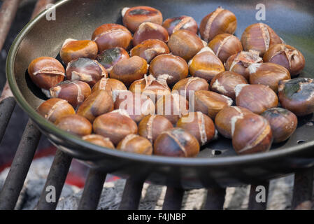 Kastanien am offenen Feuer braten Stockfoto