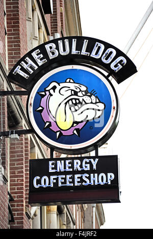 Der Bulldog Amsterdam Niederlande Coffee Shop gemeinsame Haschisch Gras Canabis Marihuana Schmiere Marihuana Drogen-Cannabis-coffeeshop Stockfoto