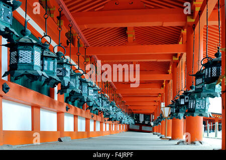 NARA, JAPAN-NOVEMBER 2014; Kasuga-Taisha-Schrein ist berühmt für seine Bronze Laternen, die von Gläubigen gespendet wurden. Stockfoto