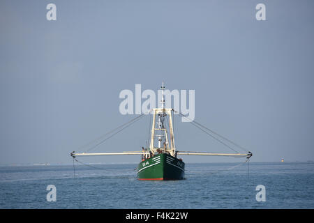 Vlıeland Terschellıng Texel Angeln Wattenmeer Wattenmeer Niederlande Stockfoto