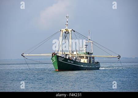 Vlıeland Terschellıng Texel Angeln Wattenmeer Wattenmeer Niederlande Stockfoto