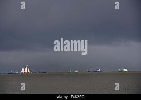 Vlıeland Terschellıng Texel Angeln Wattenmeer Wattenmeer Niederlande Stockfoto