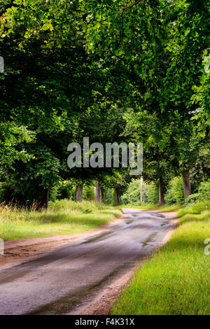 Eine kleine Gasse in Norfolk England UK Stockfoto