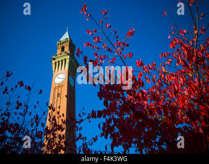 Herbstfarben auf dem Campus der University of Birmingham, UK.  Der Uhrturm ist "Old Joe" genannt. Stockfoto