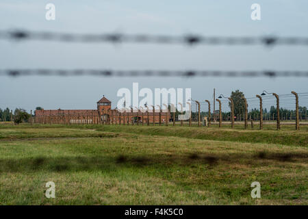 Ein Blick durch Stacheldraht im KZ Auschwitz II-Birkenau Oswiecim Stockfoto