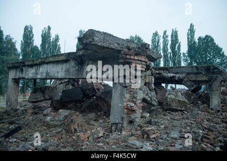 Die Ruinen des Auschwitz II Birkenau Gaskammer. Stockfoto