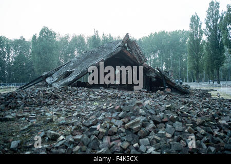 Die Ruinen des Auschwitz II Birkenau Gaskammer. Stockfoto