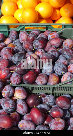 Frisches Obst zum Verkauf, Markt, Warschau, Polen Stockfoto