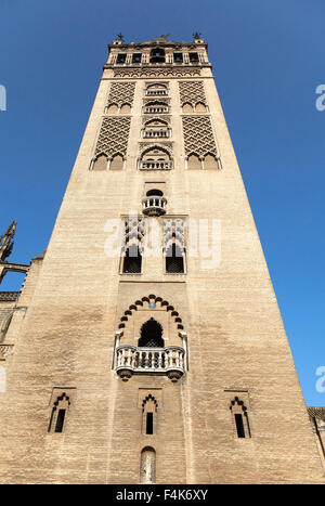 Kathedrale von La Giralda Turm von Sevilla, Spanien Stockfoto