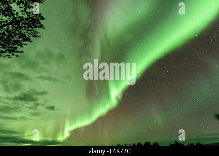 Nordlicht - Nellim, Inari-See, Lappland, Finnland Stockfoto