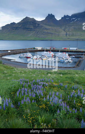 Blick über den Hafen in Stodvarfjordur Fjord, Austurland, Island. Stockfoto
