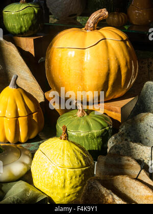 Herbst-Gemüse mit Schalen, Visitor Center Shop, New York Botanical Garden, der Bronx, NY, USA Stockfoto