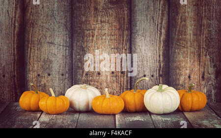 Mini-Kürbisse in Folge gegen rustikalen hölzernen Hintergrund Stockfoto