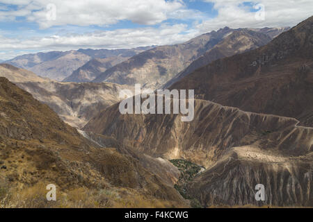 Blick auf Sangalle Oase in den Colca Canyon Stockfoto