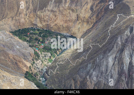 Wunderschoener Oase in den Colca Canyon Stockfoto