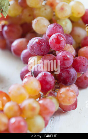 Nahaufnahme von Trauben Stockfoto