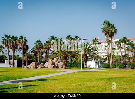 Palmen im Resort Costa Adeje. Teneriffa, Kanarische Inseln. Spanien Stockfoto
