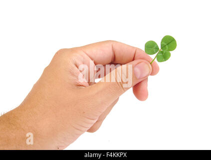 Männliche Hand, die grünen Kleeblatt, isoliert auf weißem Hintergrund Stockfoto