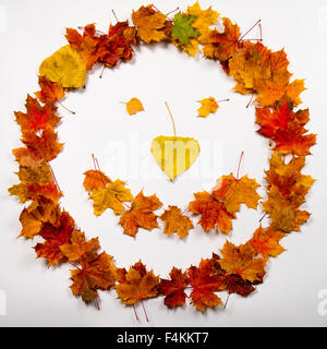 Blätter im Herbst in ein Smiley-Gesicht-Form auf weißem Hintergrund Stockfoto