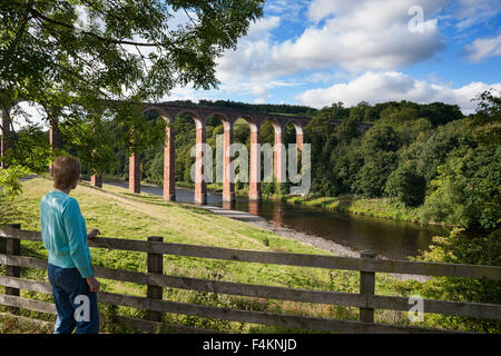 Leaderfoot Eisenbahnviadukt über Fluss Tweed, Melrose, Grenzen, Schottland Stockfoto