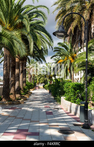 Ibiza, Spanien Stockfoto