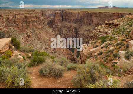 Little Colorado-River-Canyon, Arizona, USA Stockfoto