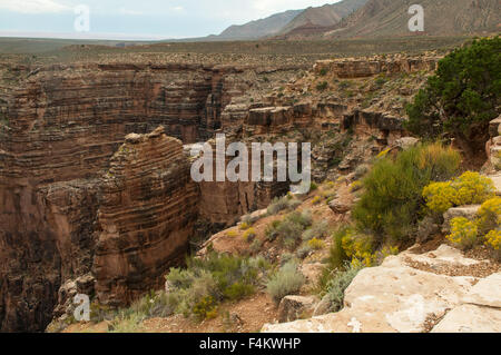 Little Colorado-River-Canyon, Arizona, USA Stockfoto