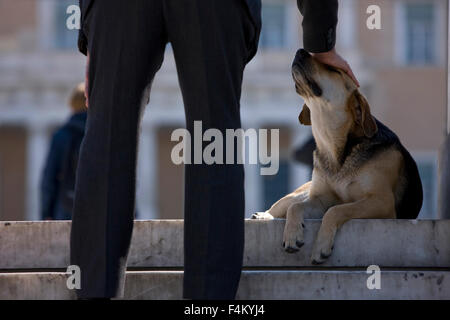Nahaufnahme von mans Beine und Hand tätschelte / Zuneigung, ein streunender Hund sitzt auf dem Boden der Syntagma-Platz, Athen, Griechenland Stockfoto