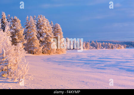 Ein schöner See in Finnisch-Lappland im Winter. Am Äijäjärvi fotografiert bei Sonnenuntergang. Stockfoto