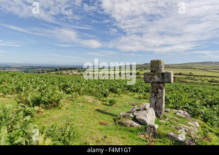 Eine alte Granit Kreuz im Norden Bowda auf Bodmin Moor in Cornwall Stockfoto