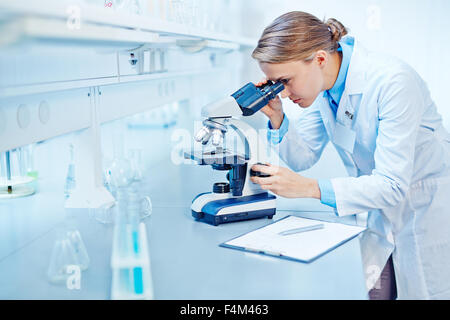 Junge Wissenschaftler neue Substanz oder Virus im Mikroskop Stockfoto