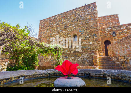 Höfe und Gärten des berühmten Schlosses der Alcazaba in Malaga Spanien Stockfoto