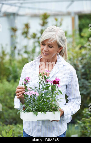 Reife Frau, die Auswahl von Pflanzen im Garten-Center Stockfoto