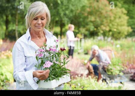 Reife Frau, die Auswahl von Pflanzen im Garten-Center Stockfoto