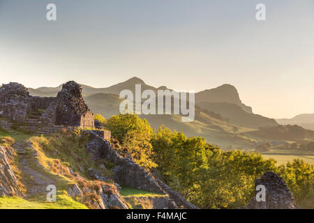 Sonnenuntergang über Castell y Bere und Craig yr Aderyn "Vögel Rock" Snowdonia-Nationalpark, Gwynedd, Wales UK Stockfoto