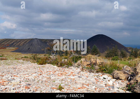 Zeche-Tipps aus der Llanbradach Zeche, Rhymney Valley in der Nähe von Caerphilly, South Wales, UK. Stockfoto