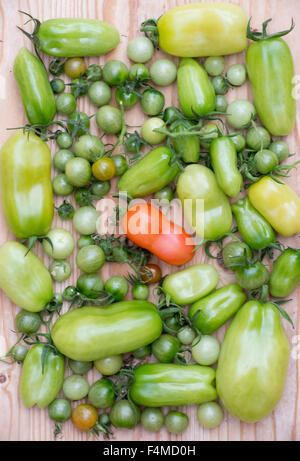 Grüne Tomaten auf Holz Stockfoto