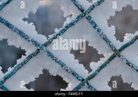 Winterlandschaften in der Nähe der Stadt Ruse in Nordbulgarien Stockfoto