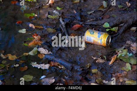 Ausrangierte alkoholfreie Getränke können am Rande eines Sees im Wollaton Park Nottingham England UK Stockfoto