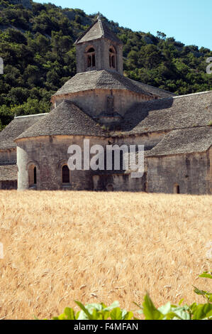 Abbaye Notre Dame de Senanque Zisterzienserorden Gordes Departement Vaucluse Frankreich Europa Stockfoto