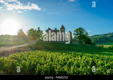 French Chateau de Pierreclos mit der Sonne über einen Weinberg. Juli, 2105. Burgund, Frankreich. Stockfoto